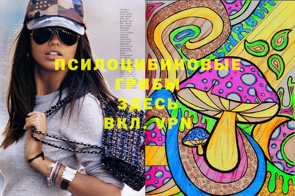 мдпв Абдулино