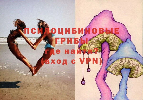 прущая мука Абаза