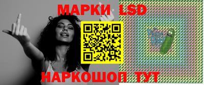 индика Дубна