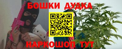 индика Дубна