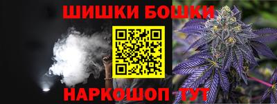 индика Дубна