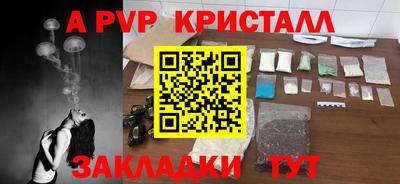 прущие крисы Донской
