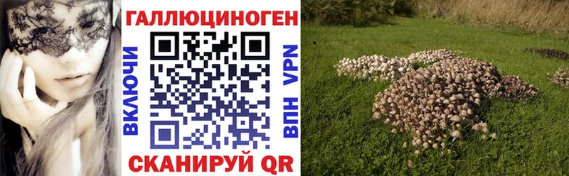 продажа наркотиков  Рассказово  Псилоцибиновые грибы Magic Shrooms 
